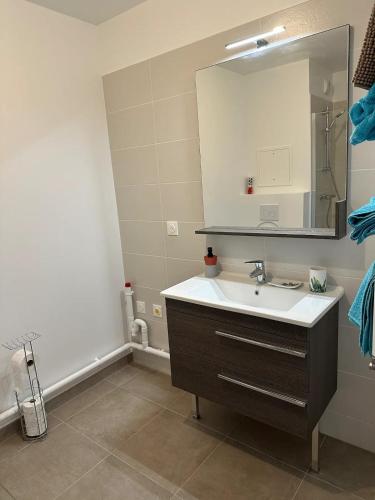une salle de bain avec un lavabo et un miroir dans l'établissement Appartement neuf proche de Orly, à Chevilly-Larue