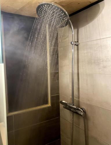une douche avec pommeau de douche dans une salle de bain dans l'établissement T2 Hypercenter Lyon, à Lyon
