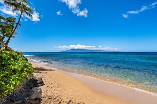 a beach with a palm tree and the ocean at Maui Kai 808 · MK 808 OceanFront 1BD Kaanapali Beach Ocean Views in Lahaina