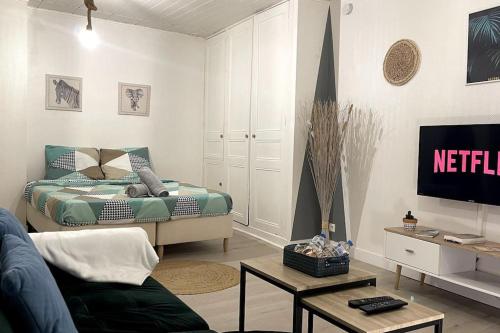 un salon avec un canapé et un lit dans l'établissement La Petite Fleur - Centre ville, à Niort