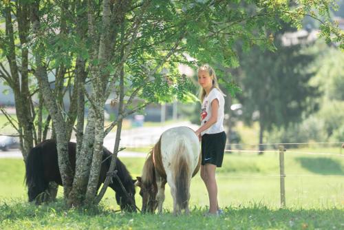 a girl standing on a horse in a field with two cows at Stockhambauer in Kleinarl