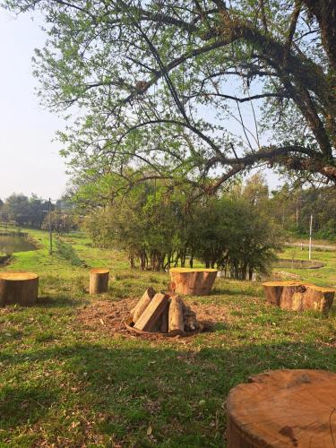 a pile of logs in a field with trees at Sítio das Flores - 4 quartos - 8 a 10 pessoas in Garibaldi