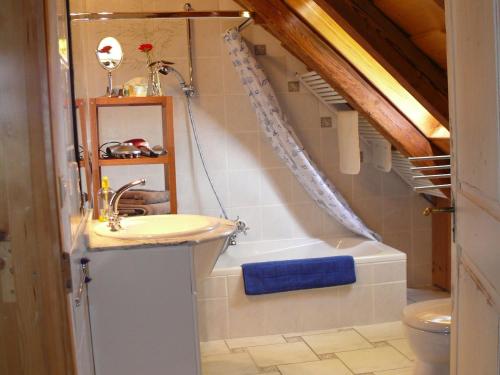 a bathroom with a sink and a bath tub at Alte Wassermühle in Salem