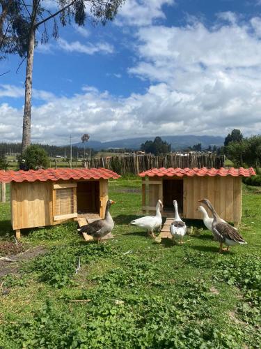 Φωτογραφία από το άλμπουμ του Hacienda la moya, Cotopaxi σε Hacienda Río Blanco