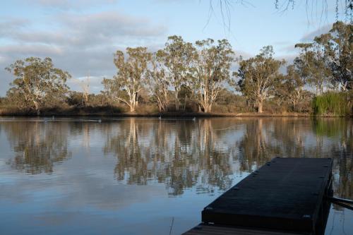 a dock in the middle of a lake with trees at 'The Lookout' - Nildottie in Nildottie