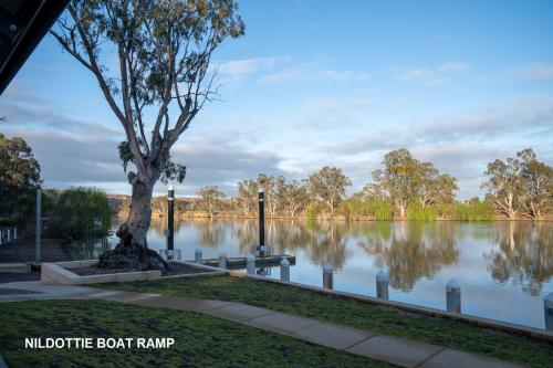 a tree sitting next to a body of water at 'The Lookout' - Nildottie in Nildottie