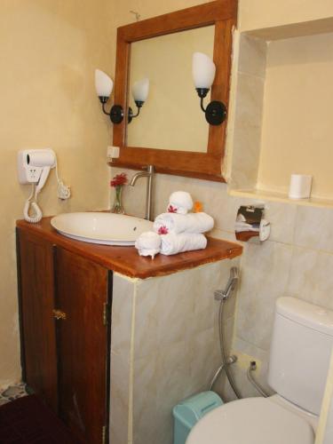 a bathroom with a sink and a toilet and a mirror at Tangkoko Sanctuary Villa in Bitung