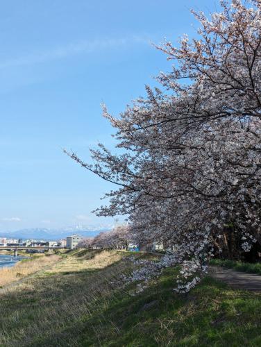 ホームステイの近くで見られる自然の景観