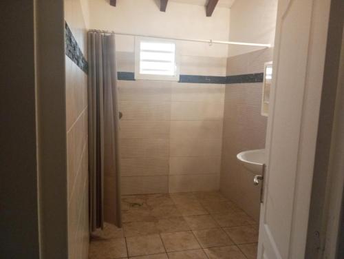 un bagno con doccia e lavandino di Zoranj Delair a Sainte-Anne