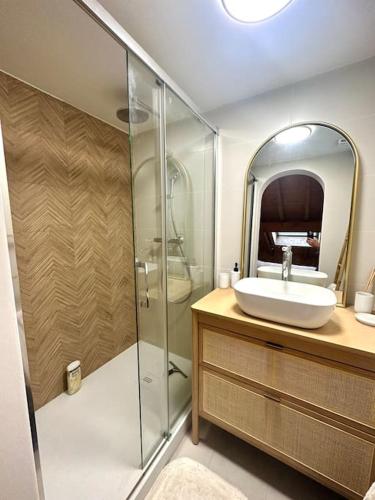 une salle de bain avec un lavabo et une douche dans l'établissement Le tilleul-cœur du village, à Samoëns