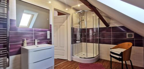 a bathroom with a shower and a sink at Südschwarzwald Ferienhaus für Gruppen & Monteure in Waldshut-Tiengen