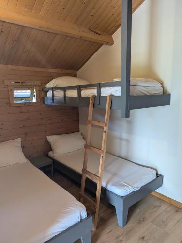 a bunk bed room with two bunk beds and a ladder at The Bee - Trekkershuts & Apartment in Opperdoes