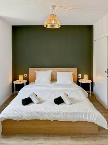 Un dormitorio con una cama grande con dos almohadas encima. en Une touche de vert, en Mulhouse