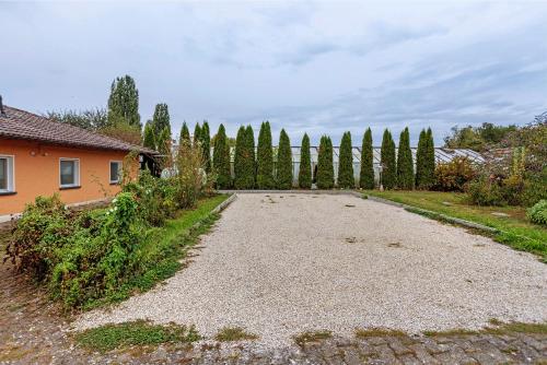 a driveway leading to a house with a row of trees at Seeluft direkt am Wasser in Reichenau