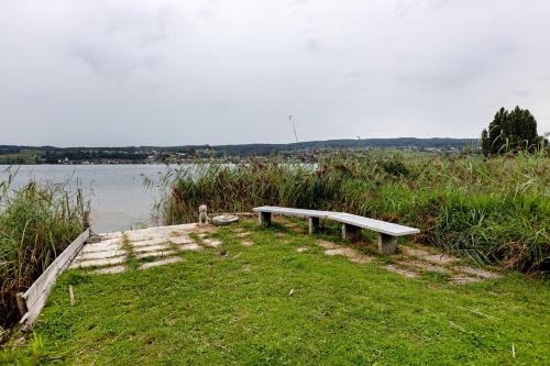 a bench sitting on the grass near a body of water at Seeluft direkt am Wasser in Reichenau