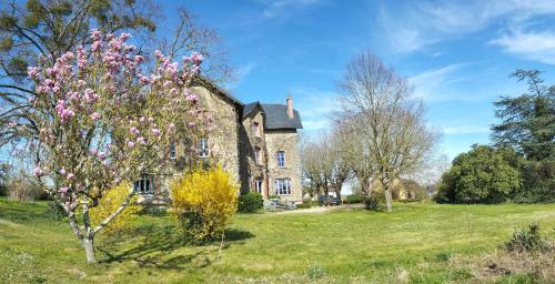 une ancienne maison en pierre dans un champ avec un arbre dans l'établissement Maison d'Adèle au hameau de Banne, à Sornay