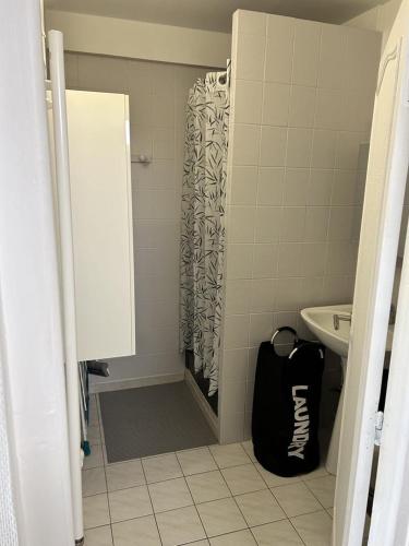 a bathroom with a shower and a black bag at Appartement 29A - MAILLY LE CAMP in Mailly-le-Camp