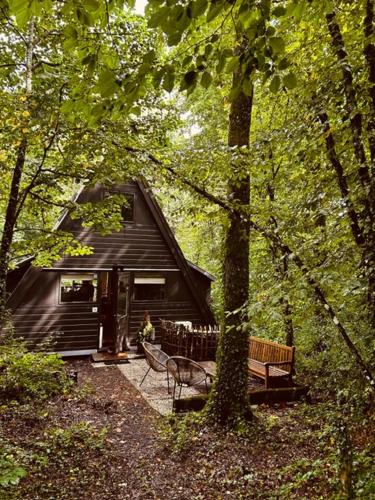 a cabin in the woods with a bench and a tree at Chalet Woods in Durbuy
