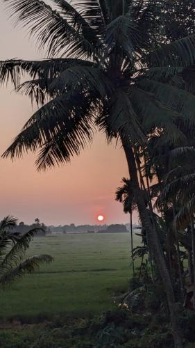 a palm tree with the sunset in the background at Paddy N Canal Homestay in Alleppey
