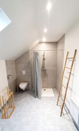 une salle de bain avec douche et toilettes dans l'établissement Maison 115 m2 village alsacien, à Eckwersheim