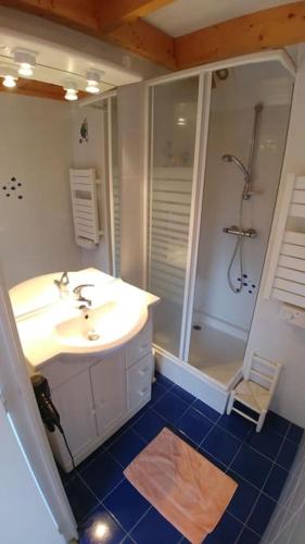 une salle de bain avec un lavabo et une douche dans l'établissement Villa 10p, exposition sud, la plage de sable au bout du jardin, à Saint-Briac-sur-Mer