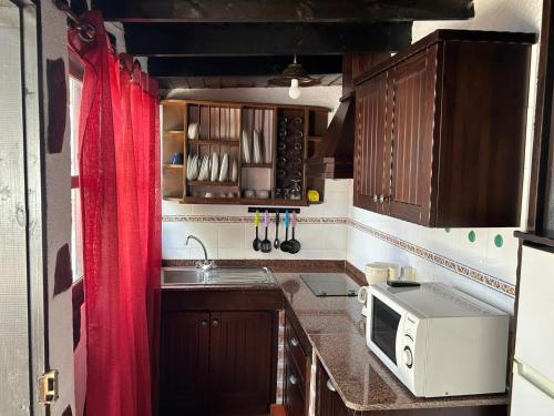 a kitchen with a sink and a microwave at Casa Rural La Vega in Agulo