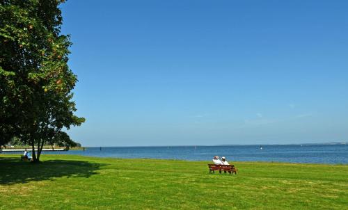 two people sitting on a park bench near the water at schoene Ferienwohnung mit Terrasse in Ralswiek