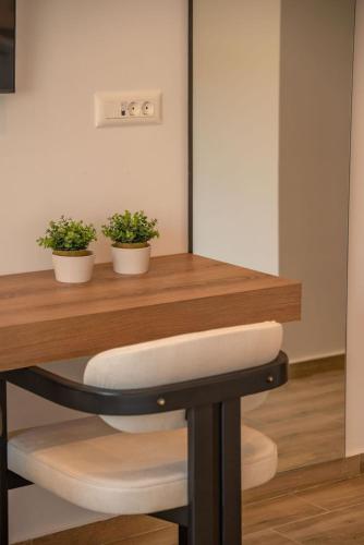 a table with two potted plants on top of it at Kiwi Boutique Studios in Kissamos
