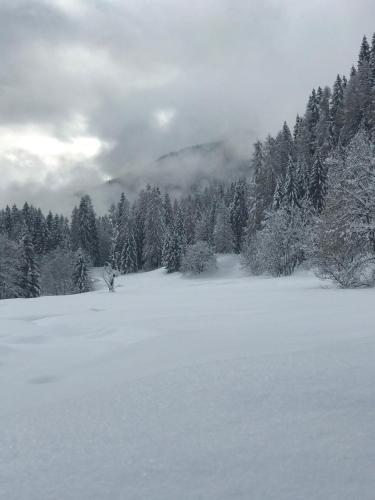a field covered in snow with trees and clouds at Mezzodi in Mareson