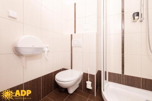 a bathroom with a toilet and a bath tub at Areál dobré pohody in Žimrovice