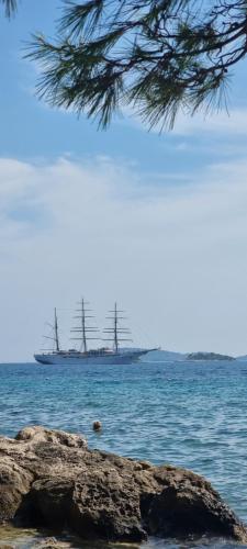 a large ship in the water with a tree at Summer Park Residence Peljesac in Orebić