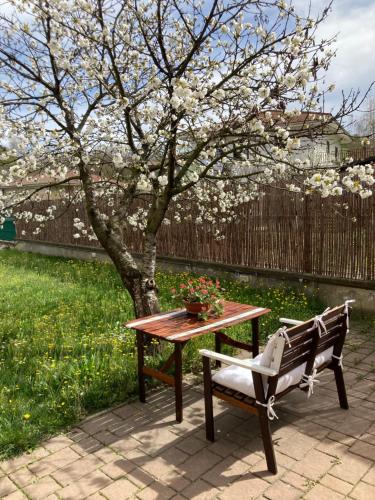 a picnic table with a bench and a tree with flowers at Casa Finestre Bianche in Canelli