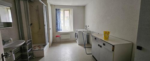 Kuchyň nebo kuchyňský kout v ubytování Ferienwohnung Haus Ryter