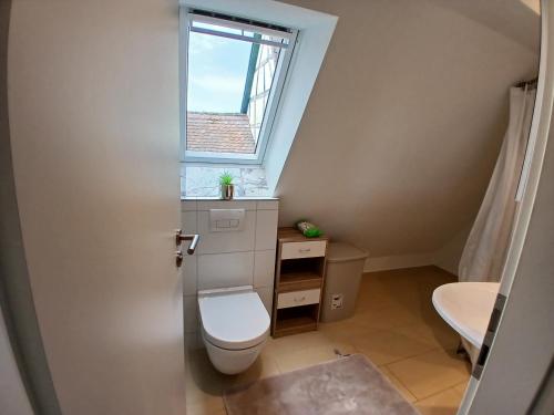 a bathroom with a toilet and a window at Ferienwohnung Ornela in Eggolsheim