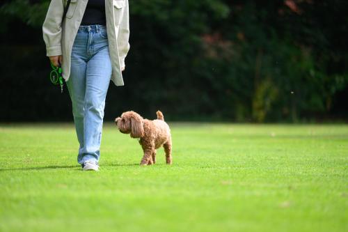 a woman walking a small dog in a field at Edgbaston Park Hotel Birmingham in Birmingham