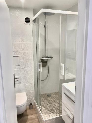 une douche avec une porte vitrée dans une salle de bain dans l'établissement Appartement 2P Strasbourg centre, à Strasbourg