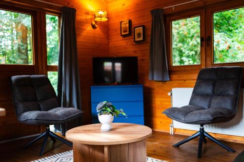two chairs and a table in a room with a tv at Sfeervol houten huisje met fijne buitenruimte op de Veluwe in Epe