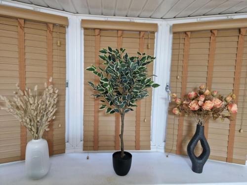 two vases with flowers in them in a room at Cozy flat & Lovely garden, High Speed WiFi in Cranford