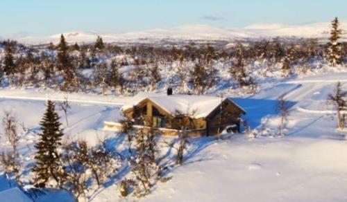 Το NEUE Fjellhytte τον χειμώνα