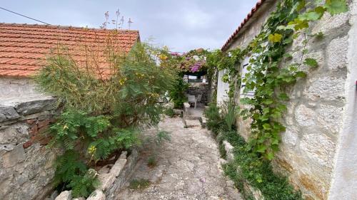 Gallery image of Villa rustica bougainvillea in Maslinica