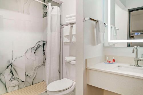 a bathroom with a shower and a toilet and a sink at Econo Lodge Traverse City South in Traverse City