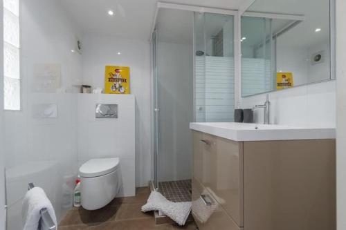 une salle de bain avec une douche, des toilettes et un lavabo dans l'établissement Best location, 1 bedroom flat, à Villefranche-sur-Mer