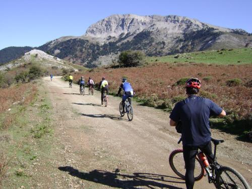 a group of people riding bikes down a dirt road at Avantis Suites Hotel in Eretria