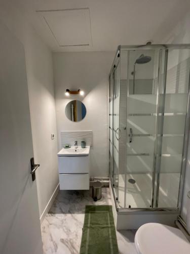 ein Badezimmer mit Dusche und Waschbecken in der Unterkunft Maisonnette de Senlis in Senlis