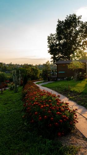 a garden with red flowers on the side of a road at ILSA camping in Bauska