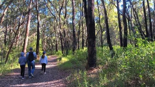 three people walking on a trail in the woods at The Emerald Bower in Rathmines