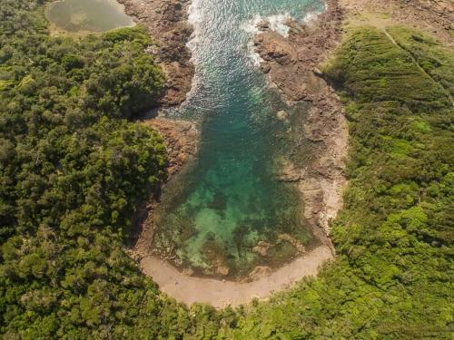 an aerial view of a beach and the ocean at Beautiful Beach House in Shellharbour