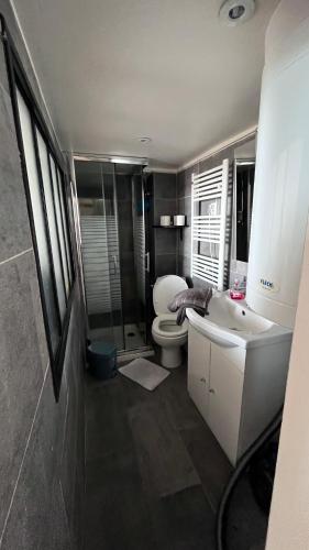 une salle de bain avec toilettes et lavabo dans l'établissement Face à la mer, Trouville sur mer, à Trouville-sur-Mer