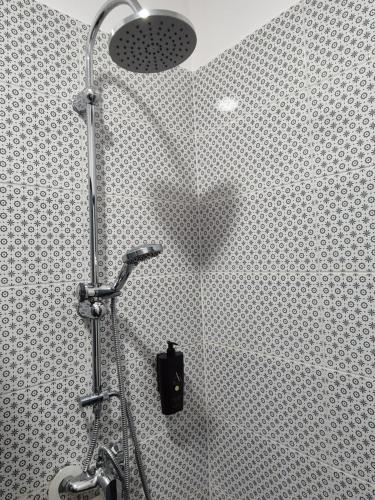 a shower with a shower head in a bathroom at Marusius Apartmanház in Makó