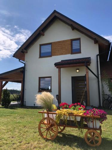 Słowińskie Widoki domki Flora, Fauna, noclegi Smołdziński Las